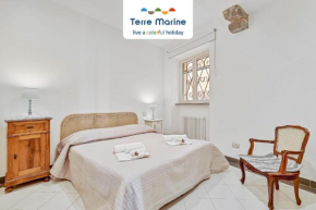 Equilibrium, Terre Marine, Marola